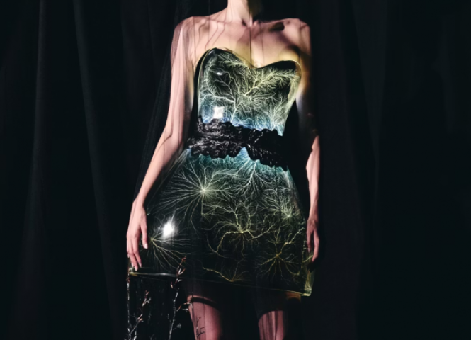 Cortesía de Iris van Herpen. Foto de Molly S.J. Lowe